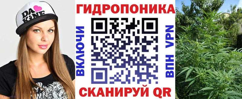 купить наркотики сайты  Киренск  Марихуана ГИДРОПОН 